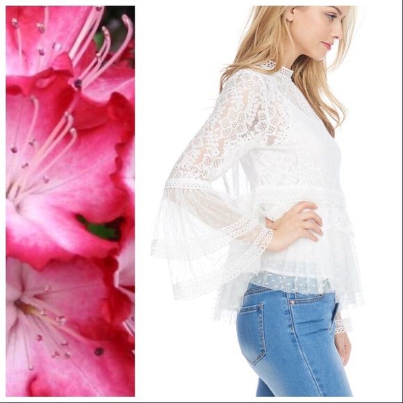 Fancy Lace Peplum Layering Top - Picture 5 of 8